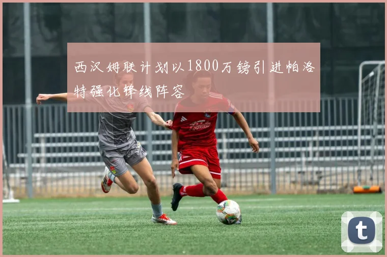 西汉姆联计划以1800万镑引进帕洛特强化锋线阵容