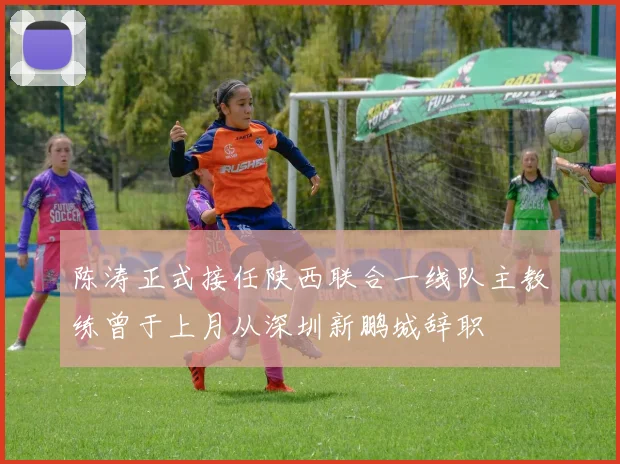 陈涛正式接任陕西联合一线队主教练曾于上月从深圳新鹏城辞职