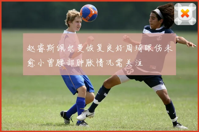 赵睿斯佩尔曼恢复良好周琦眼伤未愈小曾腰部肿胀情况需关注